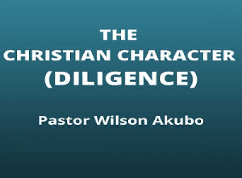 The Christian Character Pt 5: Diligence