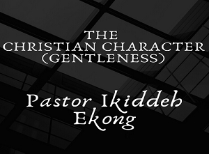 Christian Character Pt 12: Gentleness