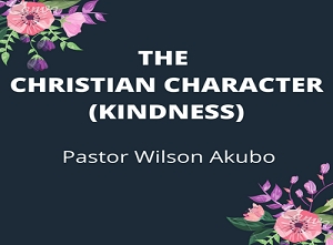 Christian Character Pt 11: kindness
