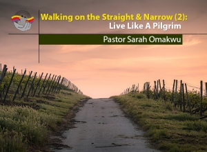 Walking on the Straight and Narrow (2): Live Like A Pilgrim