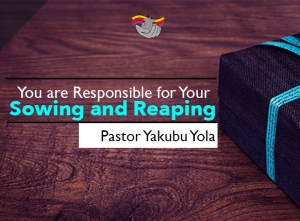 You are Responsible for Your Sowing and Reaping